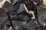 Purple, Octahedral Fluorite Crystals on Quartz - China #112884-2